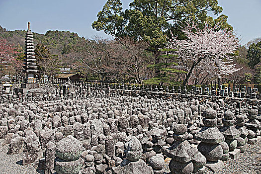 小,佛塔,庙宇,京都,日本