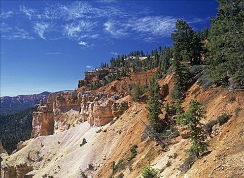 岩石构造,天然石桥,峡谷,犹他,美国