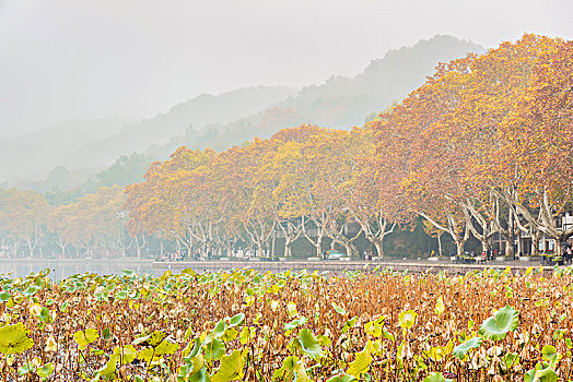 杭州,西湖秋景