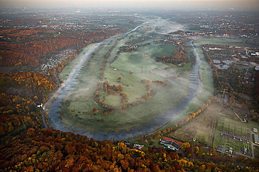 雾,河,弯曲,自然保护区,地区,北莱茵威斯特伐利亚,德国,欧洲