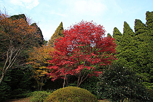 庐山植物园