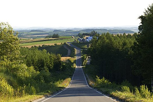 道路,日出