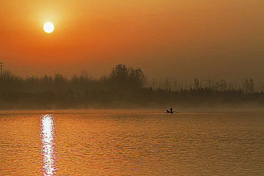 日出,湖面,小船