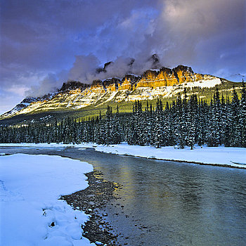 河,流动,树林,弓河,城堡山,班芙国家公园,艾伯塔省,加拿大
