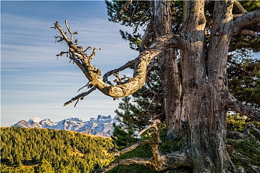 联合国教科文组织,entlebuch