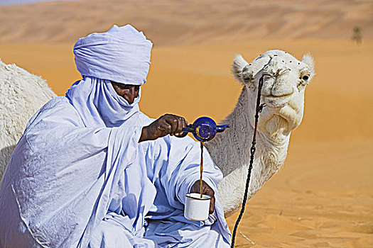 非洲,利比亚,柏柏尔人,骆驼