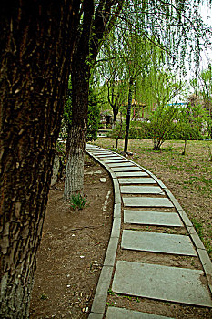中國古典園林的石板路