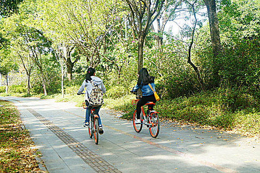 深圳绿道年轻人在骑自行车