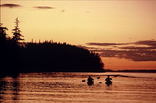 皮划艇,独木舟,靠近,温哥华岛,加拿大