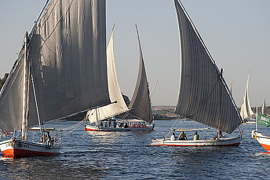三桅帆船,航行,尼罗河,阿斯旺,埃及