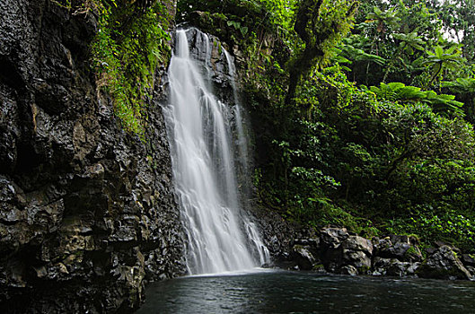 瀑布,国家公园,斐济