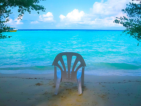 白色,热带沙滩,马尔代夫,树,蓝色泻湖