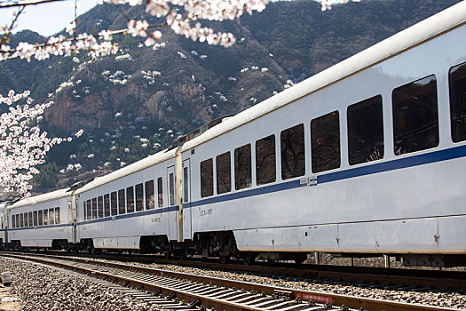 观光列车图片_观光列车图片大全_观光列车图片素材