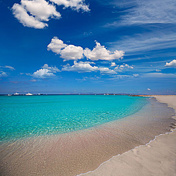 福门特拉岛,热带沙滩,靠近,伊比萨岛,巴利阿里群岛,西班牙