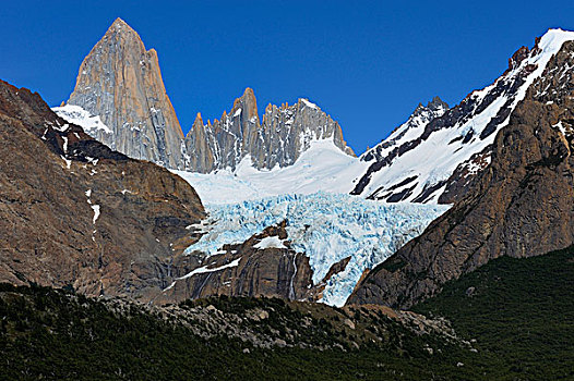 顶峰,山,菲茨罗伊,巴塔哥尼亚,安第斯山,阿根廷,南美