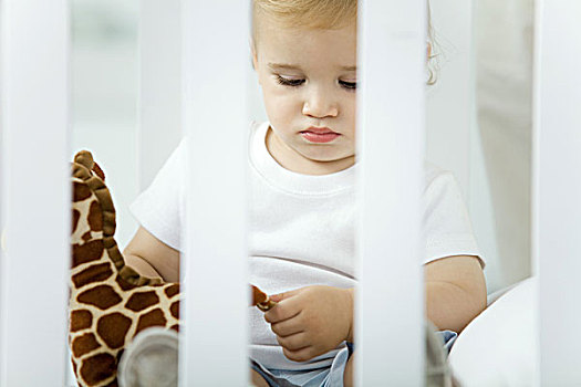 幼儿,坐,婴儿床,玩,毛绒玩具,长颈鹿