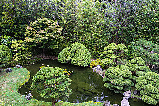 日本茶,花园,金门公园,旧金山,加利福尼亚,美国