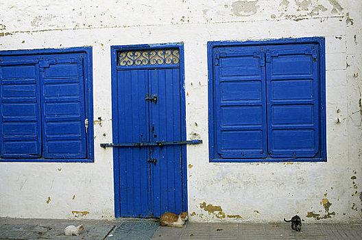 摩洛哥,苏维拉,蓝色,门,窗户