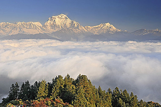 尼泊尔,山,山丘,喜马拉雅山,山脉,看,西部