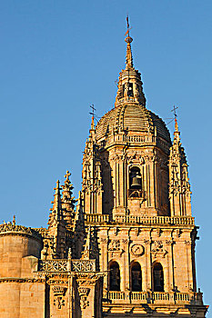 塔,圆顶,穹顶,大教堂,萨拉曼卡,萨拉曼卡省,西班牙