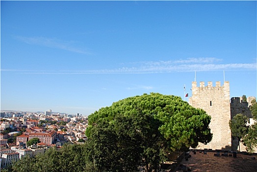 城堡,里斯本,葡萄牙,风景,市区