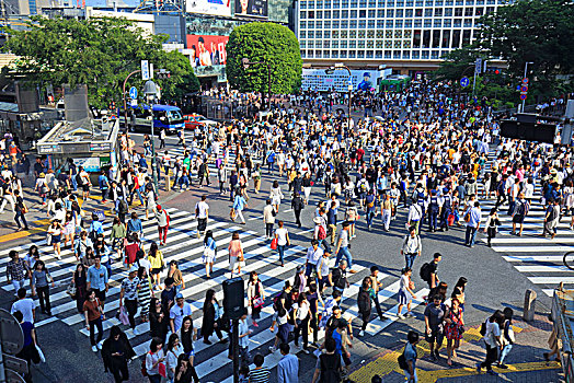 日本东京涩谷的十字路口