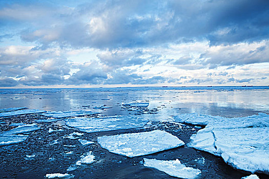 冬天,海边风景,漂浮,冰,深蓝色,海洋,水,海湾,芬兰,俄罗斯