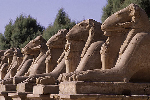 埃及,尼罗河,路克索神庙,卡尔纳克神庙,道路,狮身人面像