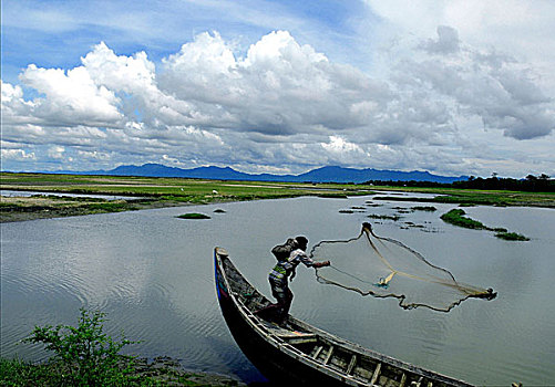 渔夫,投掷,渔网,水,河,孟加拉,九月,2006年