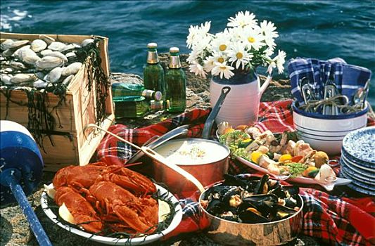 种类,海鲜,野餐,海洋