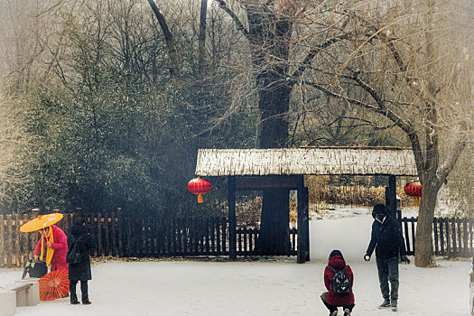 雪中柴扉