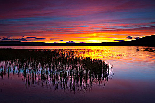 苏格兰,高地,湖,夏天,日落,上方,靠近,凯恩戈姆国家公园