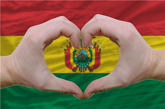 心形,喜爱,手势,展示,上方,旗帜,玻利维亚,背影