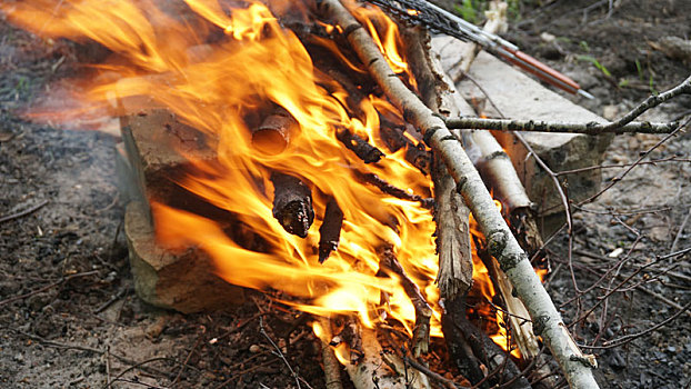 燃烧,火,烧烤,木头
