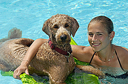 女青年,游泳池,狗
