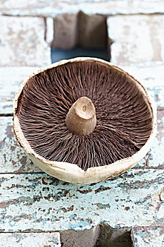 下面,野蘑菇,木质,表面