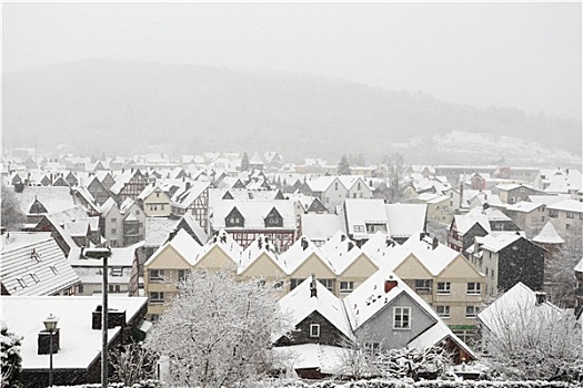 积雪,房子,城镇,黑森州,德国