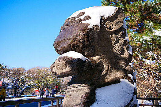 冬季沈阳北陵公园石狮子