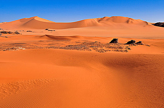 红色,沙子,沙丘,锡,梅如卡,塔西里,国家,公园,世界遗产,阿尔及利亚,撒哈拉沙漠,北非