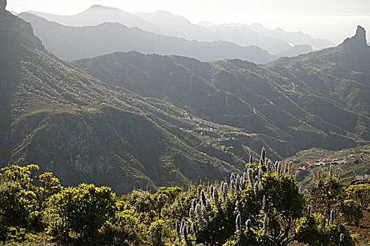 西班牙,大卡纳利岛,山景,植被,全景