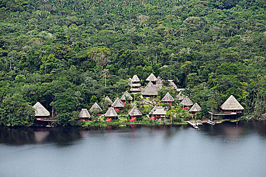 湖,中心,住宿,国家公园,亚马逊雨林,厄瓜多尔,南美