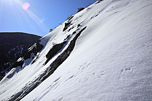 高原,雪地,积雪