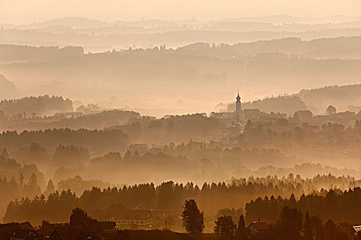 晨雾,葡萄酒,路线,施蒂里亚,奥地利,欧洲