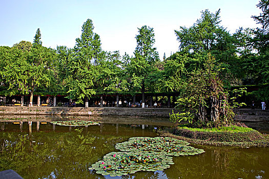 四川大学的湖