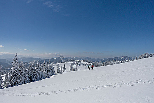 滑雪,登山,雪景,下奥地利州,奥地利,欧洲