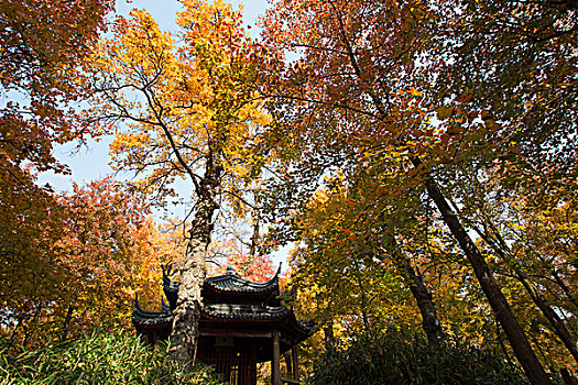 苏州天平山