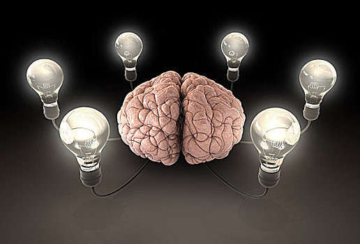 大脑,灯泡,想像