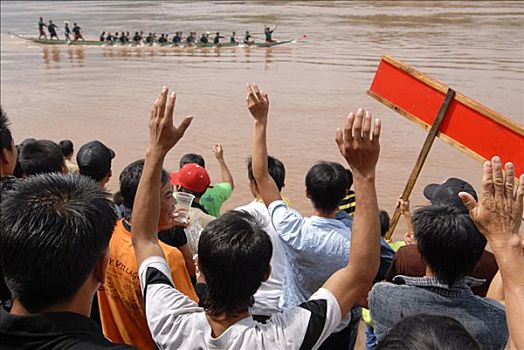 老挝人,爱好者,庆贺,胜利,船,龙,赛船,河,北方,老挝,东南亚