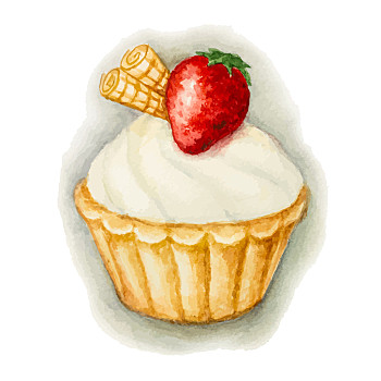 蛋糕,草莓,手绘,水彩,矢量