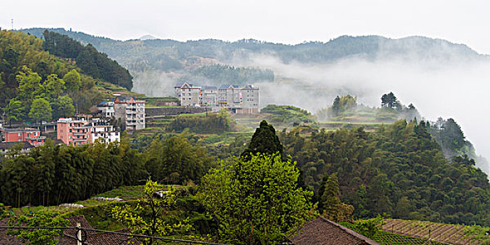 雾漫山村